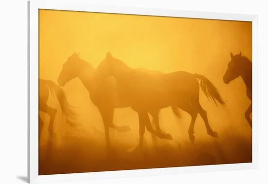 Wild Horses-DLILLC-Framed Photographic Print