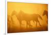 Wild Horses-DLILLC-Framed Photographic Print