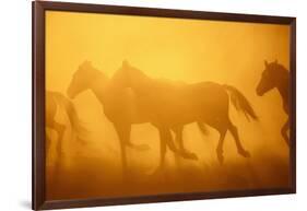 Wild Horses-DLILLC-Framed Photographic Print