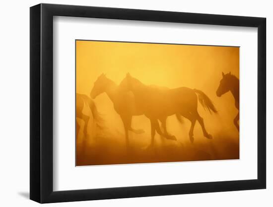 Wild Horses-DLILLC-Framed Photographic Print