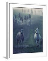 Wild Horses-conrado-Framed Photographic Print