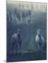 Wild Horses-conrado-Mounted Photographic Print
