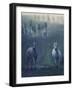 Wild Horses-conrado-Framed Photographic Print