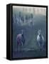 Wild Horses-conrado-Framed Stretched Canvas