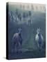 Wild Horses-conrado-Stretched Canvas