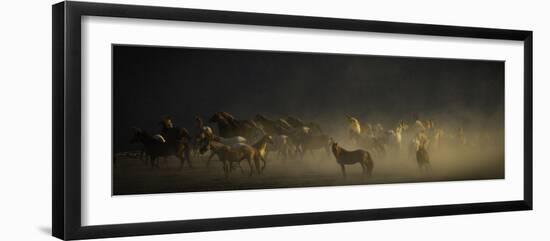 WILD HORSES-SALLY LINDEN-Framed Photographic Print