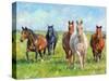 Wild Horses-David Stribbling-Stretched Canvas