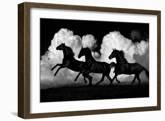 Wild Horses-Samantha Carter-Framed Art Print