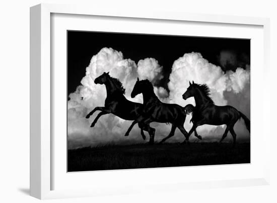 Wild Horses-Samantha Carter-Framed Art Print