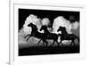 Wild Horses-Samantha Carter-Framed Art Print