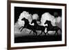 Wild Horses-Samantha Carter-Framed Art Print