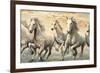 Wild Horses-Ralph Steele-Framed Art Print