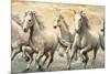 Wild Horses-Ralph Steele-Mounted Art Print