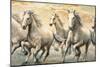 Wild Horses-Ralph Steele-Mounted Art Print