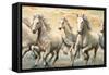 Wild Horses-Ralph Steele-Framed Stretched Canvas