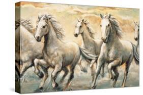 Wild Horses-Ralph Steele-Stretched Canvas