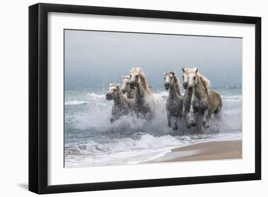 Wild Horses-Joško Šimic-Framed Giclee Print