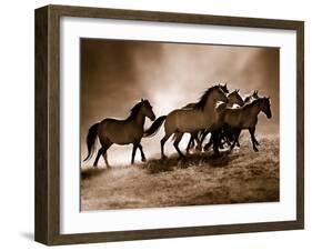 Wild Horses-Lisa Dearing-Framed Photo