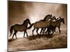 Wild Horses-Lisa Dearing-Mounted Photo