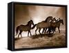 Wild Horses-Lisa Dearing-Framed Stretched Canvas
