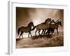 Wild Horses-Lisa Dearing-Framed Photo