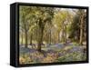 Wild Hyacinths in a Surrey Copse, 1906-Florence A Saltmer-Framed Stretched Canvas