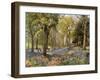 Wild Hyacinths in a Surrey Copse, 1906-Florence A Saltmer-Framed Giclee Print