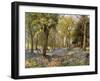 Wild Hyacinths in a Surrey Copse, 1906-Florence A Saltmer-Framed Giclee Print