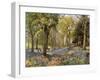 Wild Hyacinths in a Surrey Copse, 1906-Florence A Saltmer-Framed Giclee Print