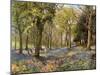 Wild Hyacinths in a Surrey Copse, 1906-Florence A Saltmer-Mounted Giclee Print