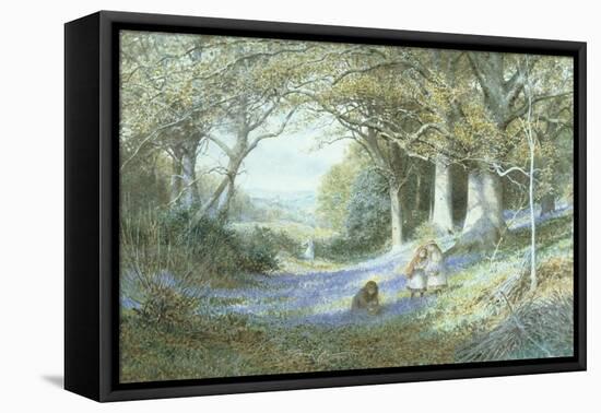 Wild Hyacinths-Charles Gregory-Framed Stretched Canvas