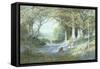 Wild Hyacinths-Charles Gregory-Framed Stretched Canvas