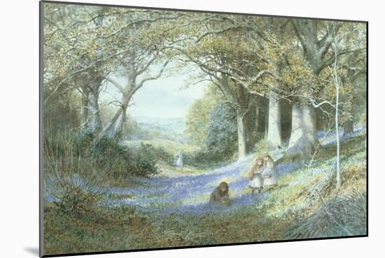 Wild Hyacinths-Charles Gregory-Mounted Giclee Print