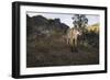 Wild Iberian Lynx (Lynx Pardinus) Male, Sierra De Andújar Natural Park, Andalusia, Spain, May-Oxford-Framed Photographic Print