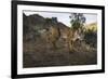 Wild Iberian Lynx (Lynx Pardinus) Male, Sierra De Andújar Np, Spain, Critically Endangered-Oxford-Framed Premium Photographic Print