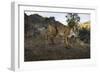 Wild Iberian Lynx (Lynx Pardinus) Male, Sierra De Andújar Np, Spain, Critically Endangered-Oxford-Framed Photographic Print