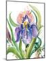 Wild Iris-Kristy Rice-Mounted Art Print