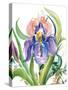 Wild Iris-Kristy Rice-Stretched Canvas