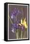 Wild Irises-null-Framed Stretched Canvas