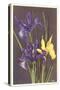 Wild Irises-null-Stretched Canvas