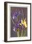 Wild Irises-null-Framed Art Print