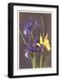 Wild Irises-null-Framed Art Print