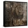 Wild Jungle 2-Sheldon Lewis-Framed Stretched Canvas