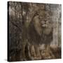 Wild Jungle 2-Sheldon Lewis-Stretched Canvas