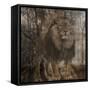 Wild Jungle 2-Sheldon Lewis-Framed Stretched Canvas