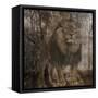 Wild Jungle 2-Sheldon Lewis-Framed Stretched Canvas