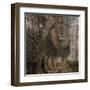 Wild Jungle 2-Sheldon Lewis-Framed Art Print