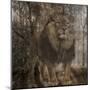 Wild Jungle 2-Sheldon Lewis-Mounted Art Print