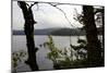 Wild landscape, Lelång Lake, Dalsland, Götaland, Sweden-Andrea Lang-Mounted Photographic Print