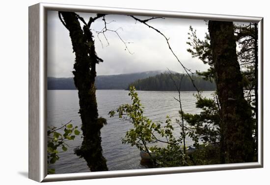 Wild landscape, Lelång Lake, Dalsland, Götaland, Sweden-Andrea Lang-Framed Photographic Print